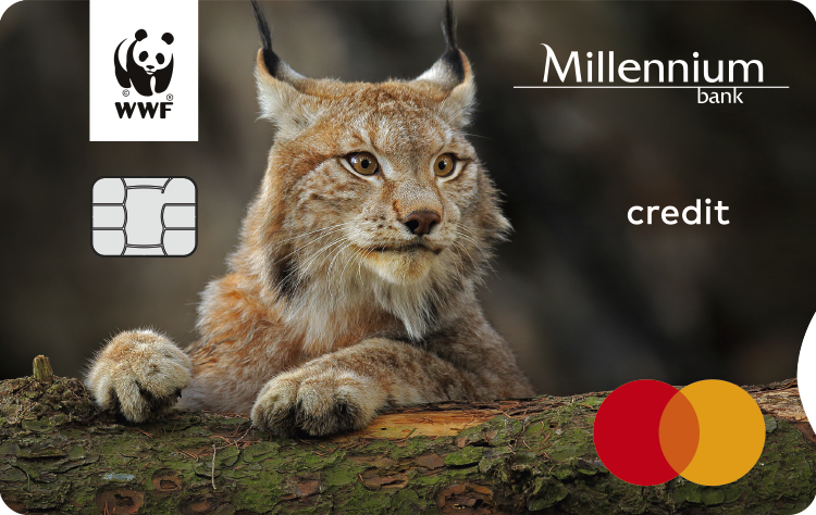 Cover Image for Zobacz, jak złożyć wniosek o kartę Millennium WWF Mastercard